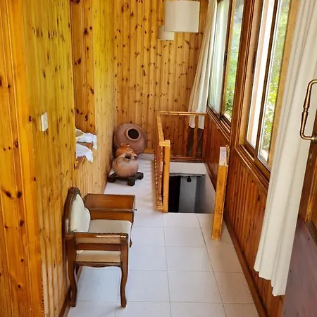 Villa Elpiniki's Old House *