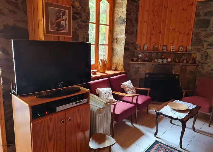 Elpiniki's Old House * カロパナイオティス