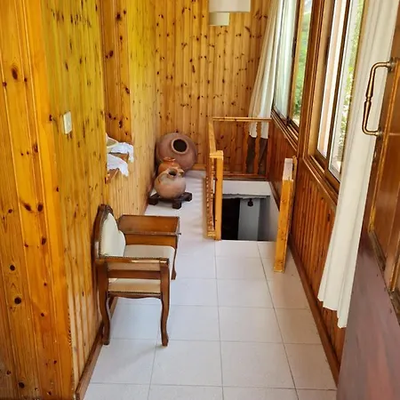 Elpiniki's Old House Villa *