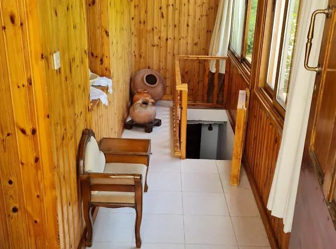 Elpiniki's Old House Vila *