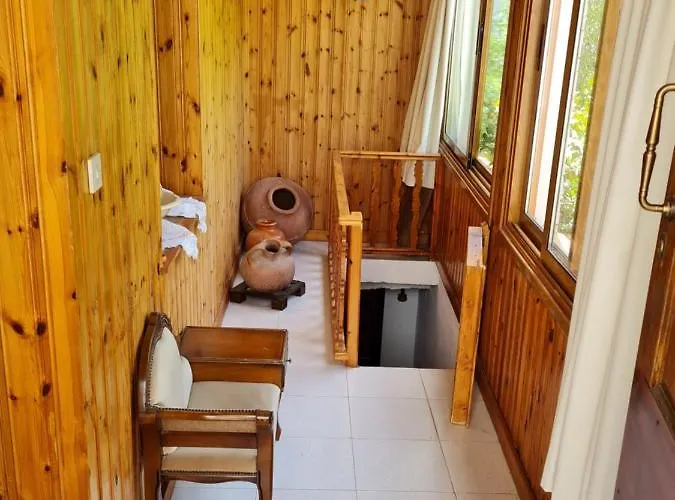 Villa Elpiniki's Old House *